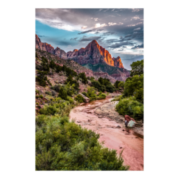 The Watchman