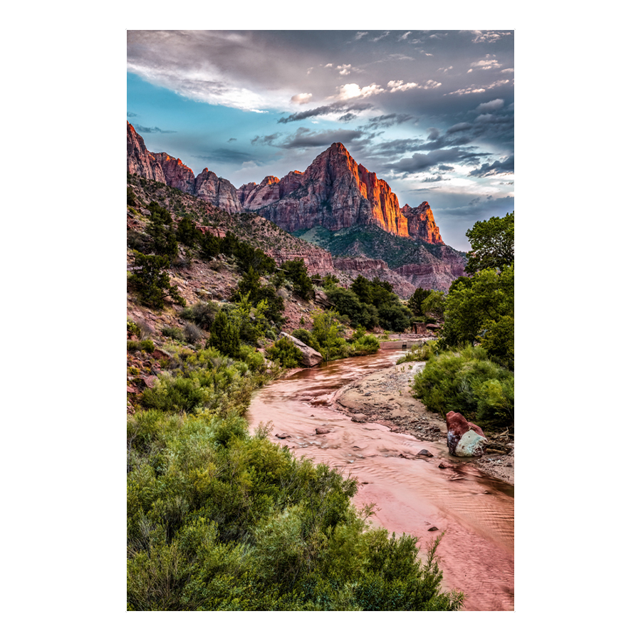 The Watchman