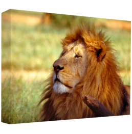 The King's Demeanour