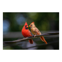Tweet To Me