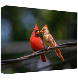 Tweet To Me