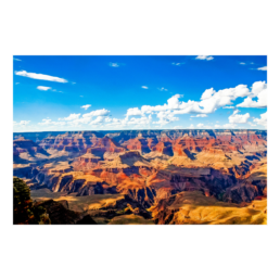 A Majestic View