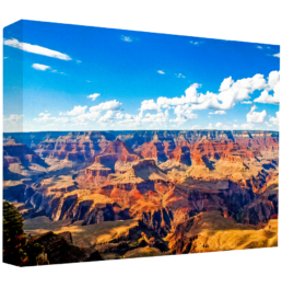A Majestic View