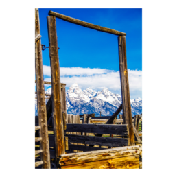 Freedom In A Frame