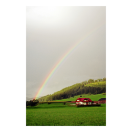Over The Rainbow