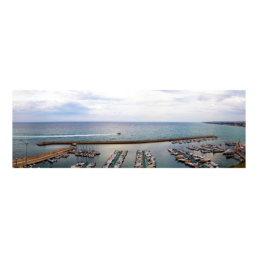 A Pearl Of Harbor