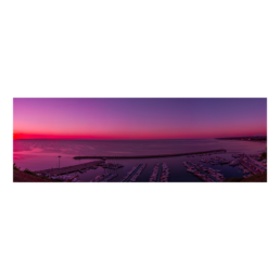 Morning Glory