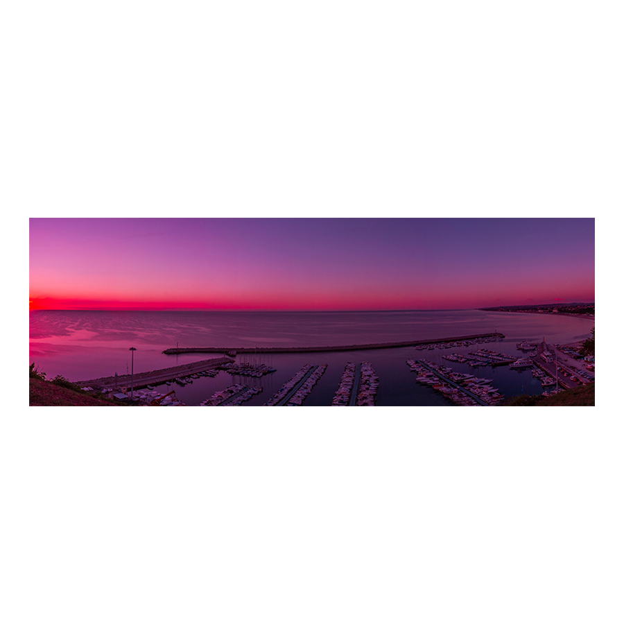 Morning Glory
