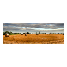 The Land of Hay