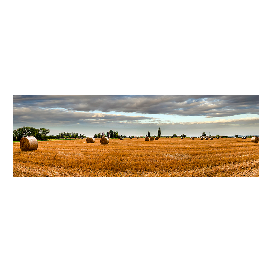 The Land of Hay