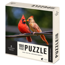 Tweet To Me 1000-piece puzzle box featuring red and brown northern cardinals perched together on cables in Georgia.